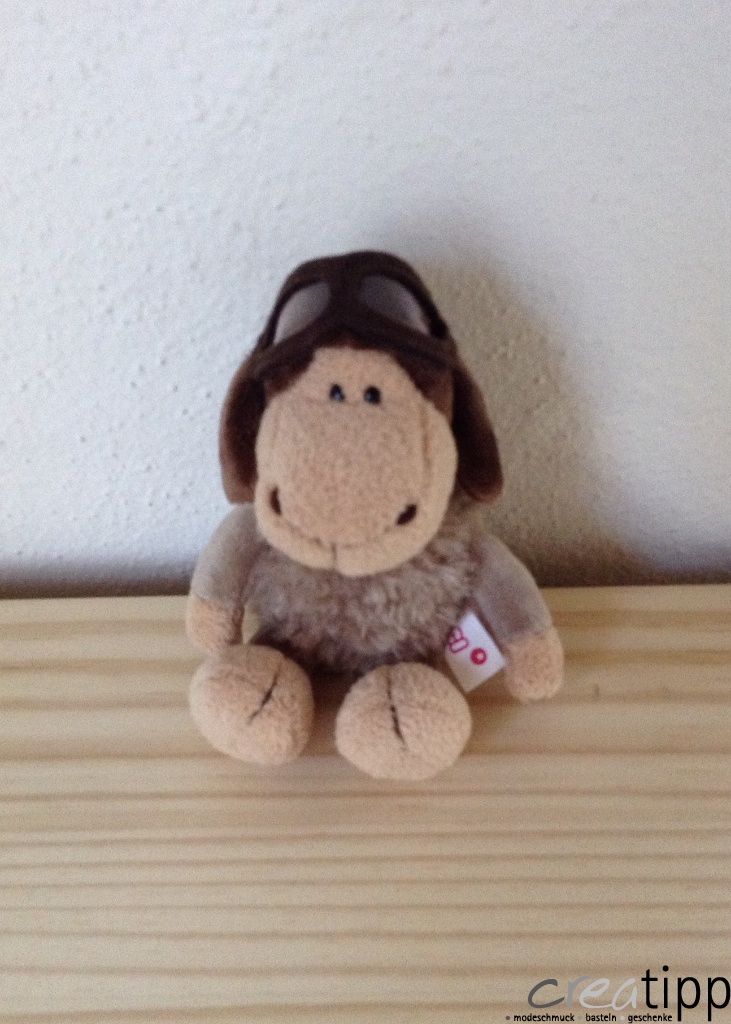 Jolly Dean und Jolly Sue – Bild 4
