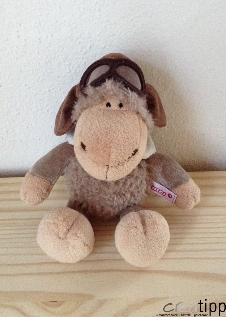 Jolly Dean und Jolly Sue – Bild 3