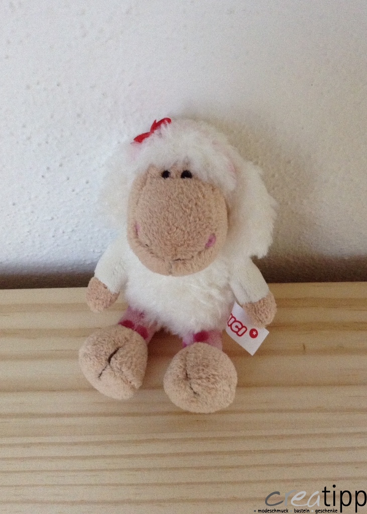 Jolly Dean und Jolly Sue – Bild 6