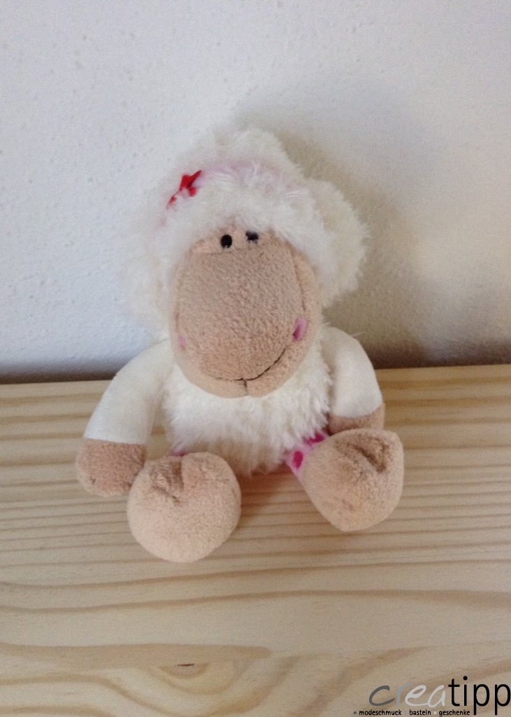 Jolly Dean und Jolly Sue – Bild 5