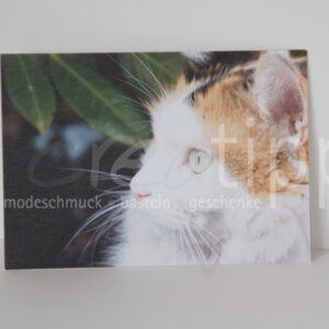 Fotokarte "Katze"
