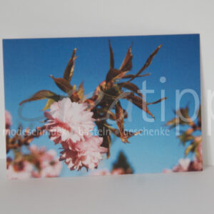 Fotokarte "Kirschblüte"