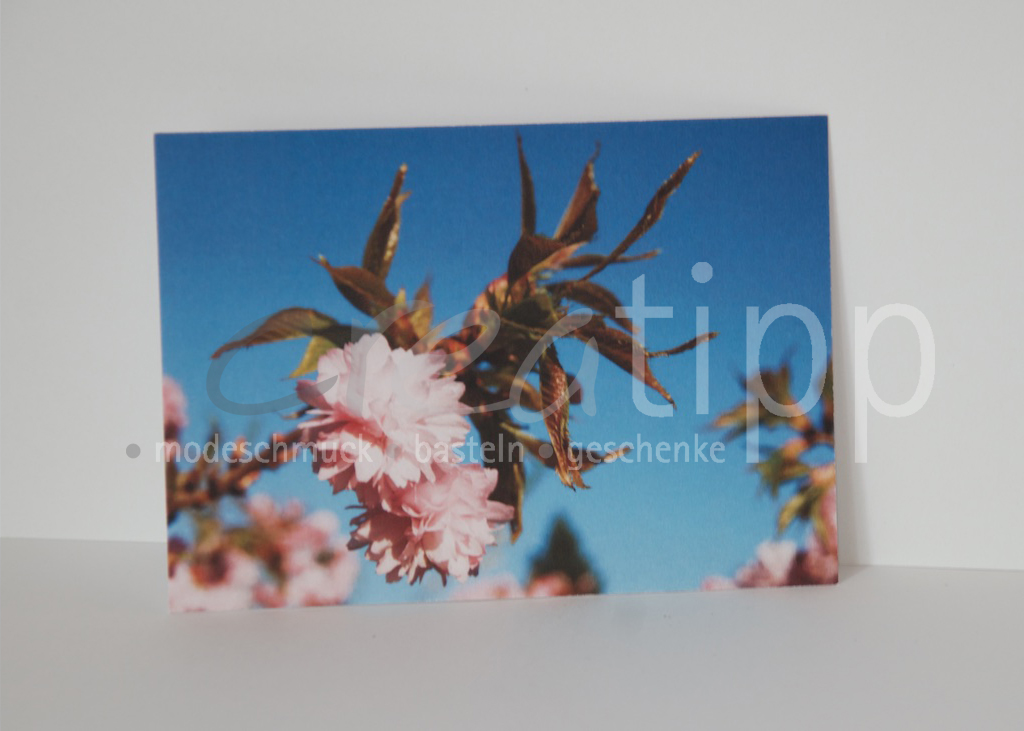 Fotokarte "Kirschblüte"