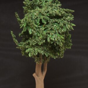 Baum