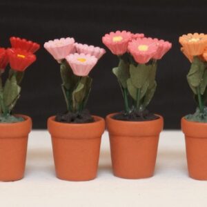 Topfblumen