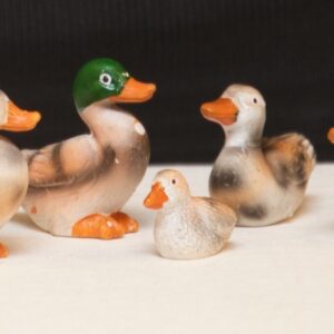 Enten