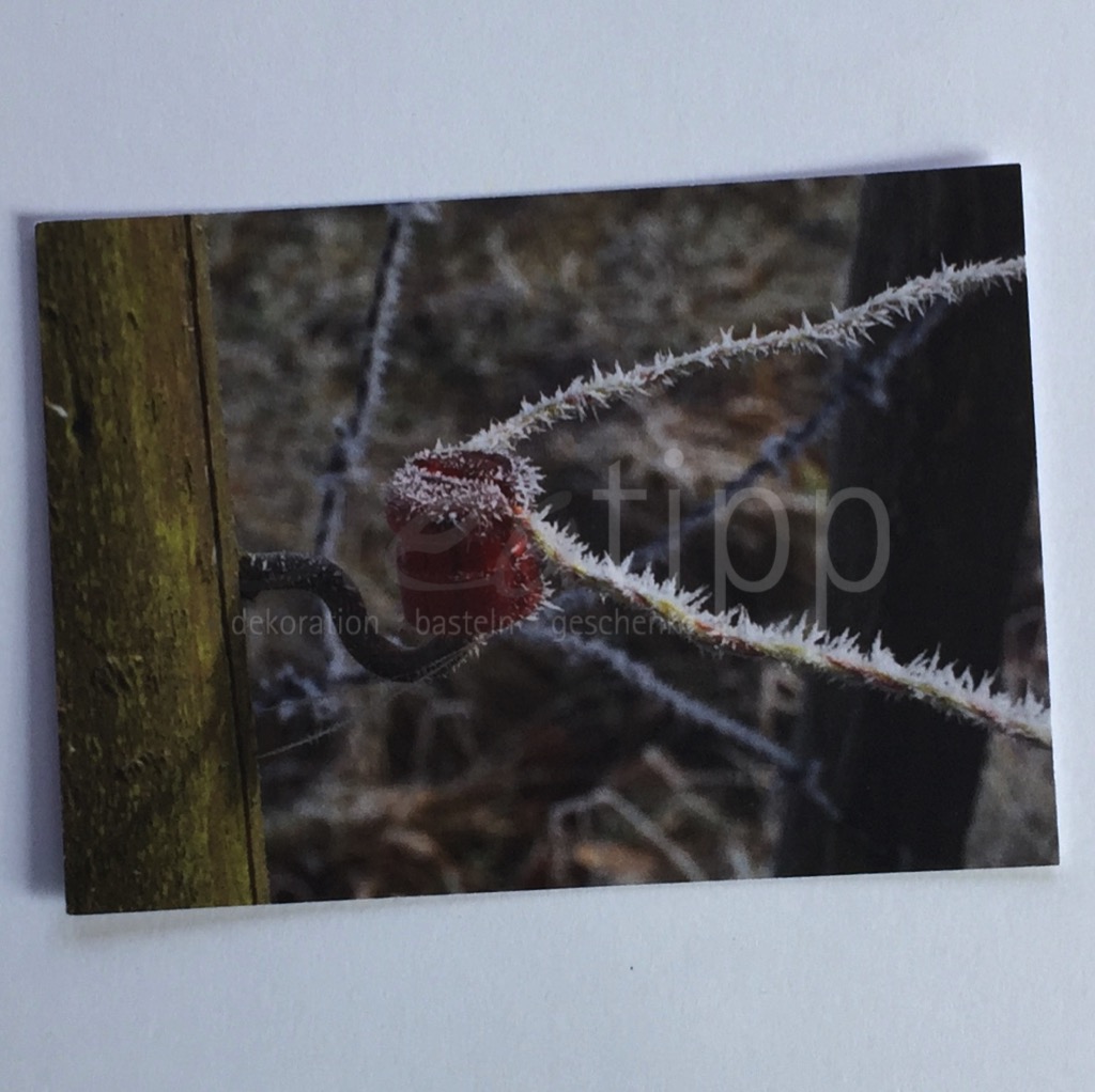 Fotokarte "Isolator"