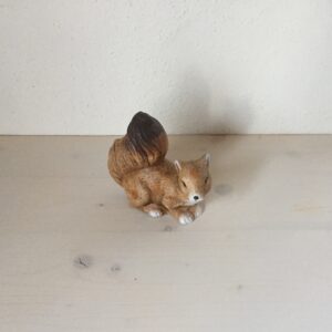 Eichhörnchen