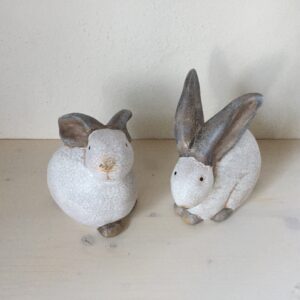 Hase gross