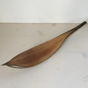 Kokosblätter