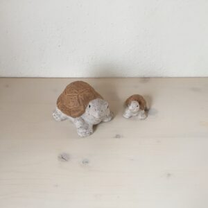 Schildkrötli