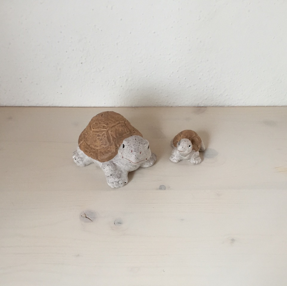 Schildkrötli
