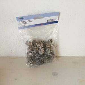 Kiefernzapfen klein