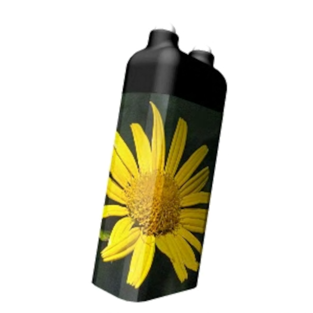 Arnika Blüte