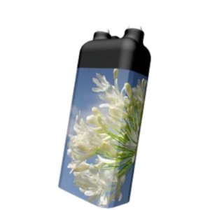 Wolkenblüte
