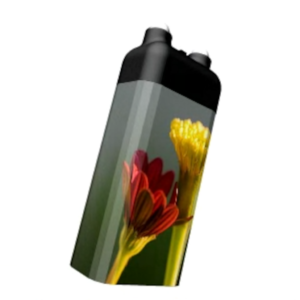 Blumen