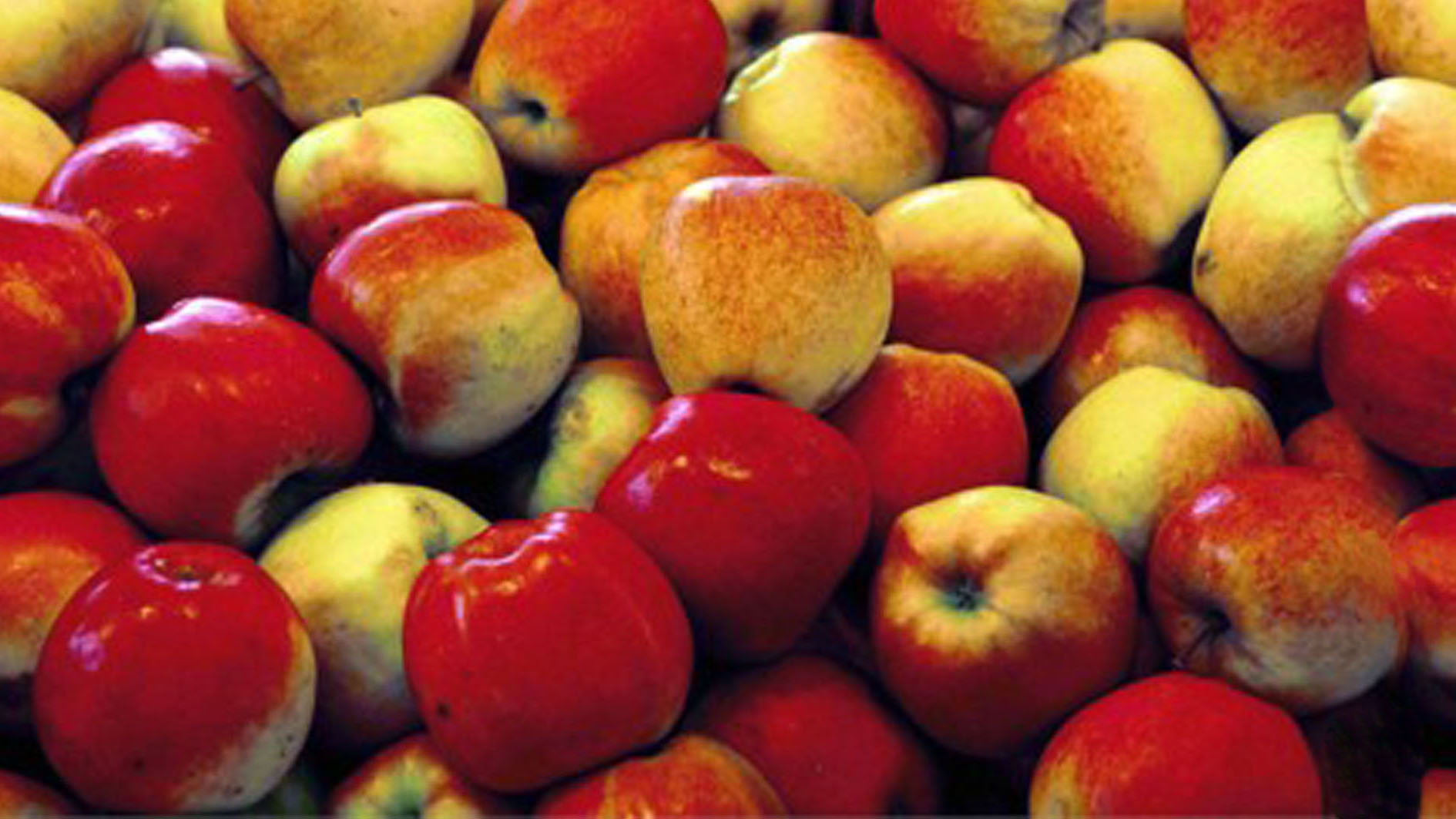 Äpfel – Bild 2
