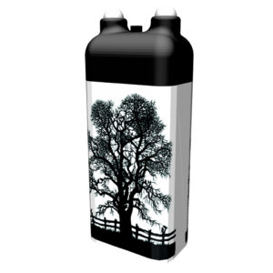 Birnbaum