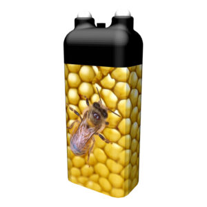 Honigbienen