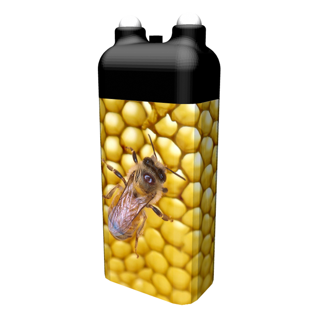 Honigbienen