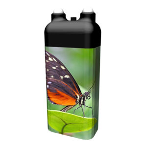 Schmetterling