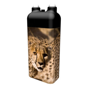 Gepard (Namibia)