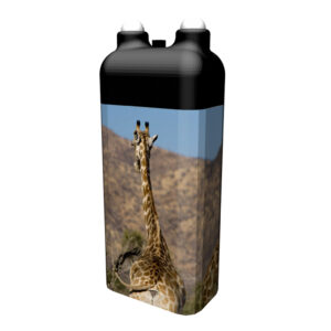 Giraffen (Namibia)
