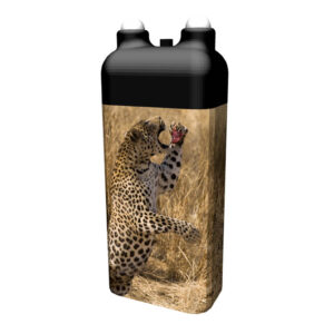 Leopard (Namibia)